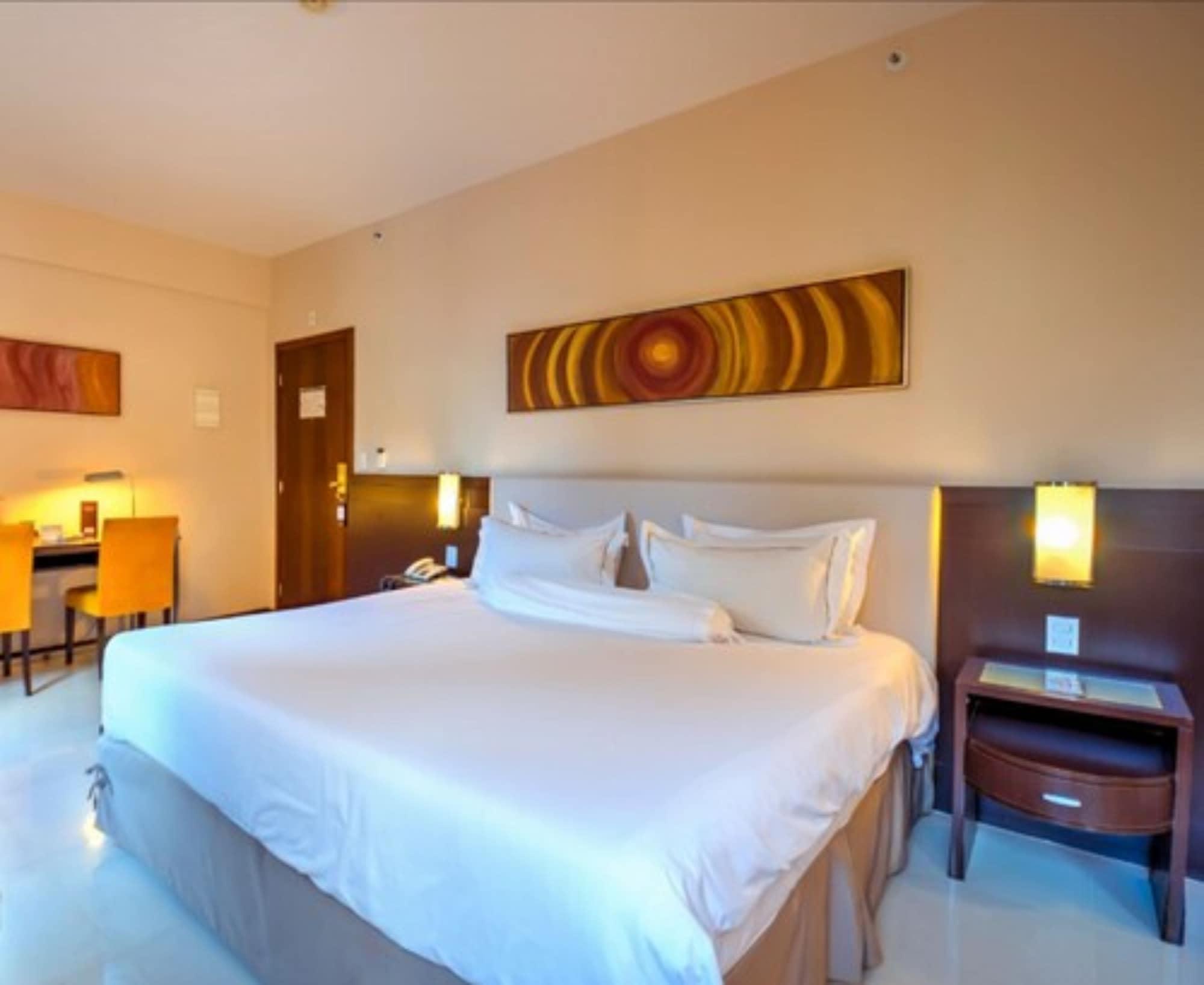 Royal Boutique Savassi Hotel Belo Horizonte Zewnętrze zdjęcie A room at the hotel