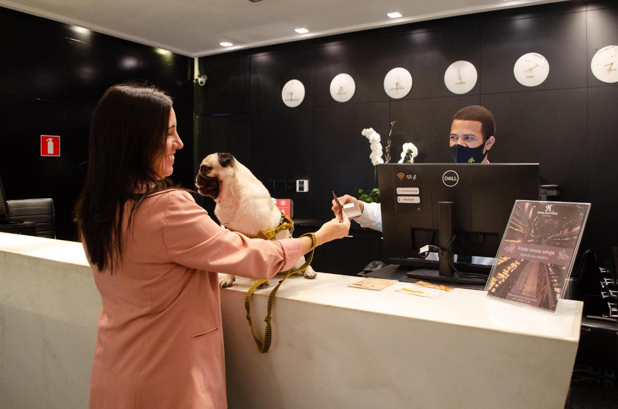 Royal Boutique Savassi Hotel Belo Horizonte Zewnętrze zdjęcie A woman checking in at a hotel with her dog
